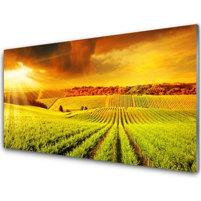 Obraz na skle Pole Západ Slunce Krajina 100x50 cm