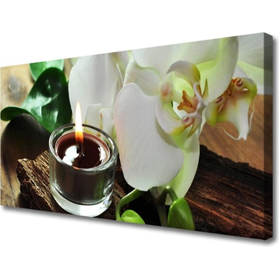 Obraz Canvas Orchidea sviece do kúpeľov 100x50 cm