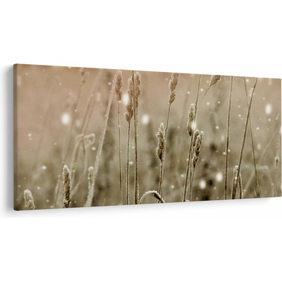 Obraz - Harmonická louka, jednodílný 250x125 cm