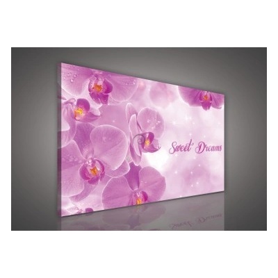 Obraz na plátne obdĺžník - OB0163 - Ružové kvety 100cm x 75cm - O1