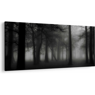 Obraz - Les v hmle, jednodielne 200x100 cm