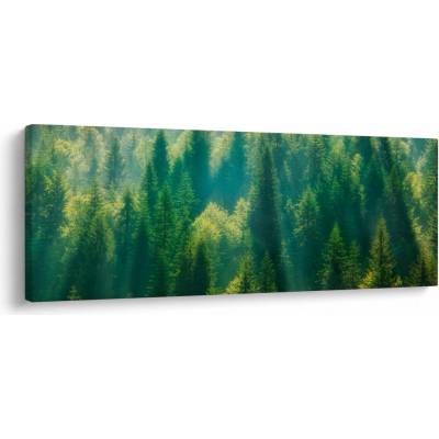 Obraz - Borovicový les, jednodílný 145x58 cm