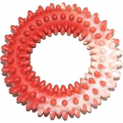 Sum Plast frisbee hryzacia kruh s výstupkami č. 3 14 cm