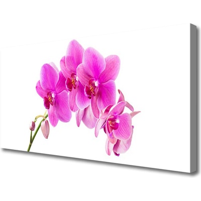 Obraz Canvas Vstavač kvet orchidea 100x50 cm