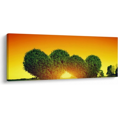 Obraz - Srdce v korunách stromů, jednodílný 100x40 cm