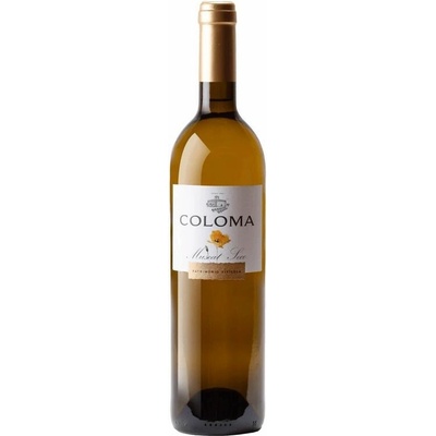 Bodegas Coloma Muscat Seco blanco suché bílé 2024 12,5% 0,75 l (holá láhev)