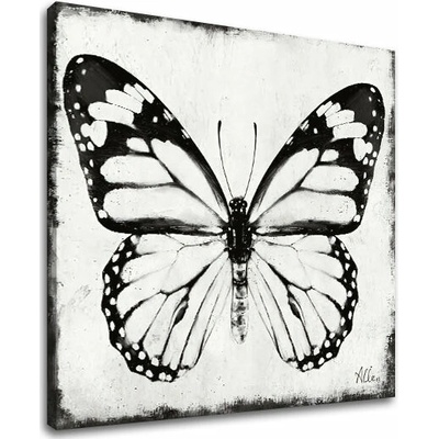 Obraz na plátne MOTÝĽ - 70x70 cm