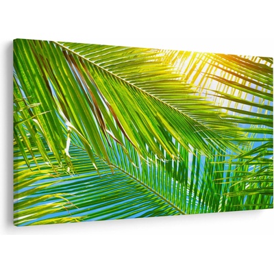 Obraz - Palmové listy, jednodielne 150x100 cm