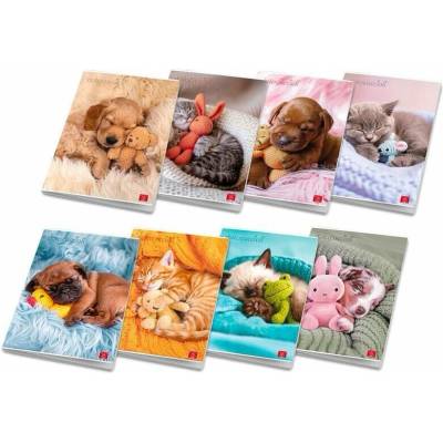 Pigna Školní sešit Dolci Cuccioli A4 linkovaný