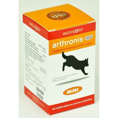 Arthronis mini ACUTE CANIS sýrová příchuť 60 tbl