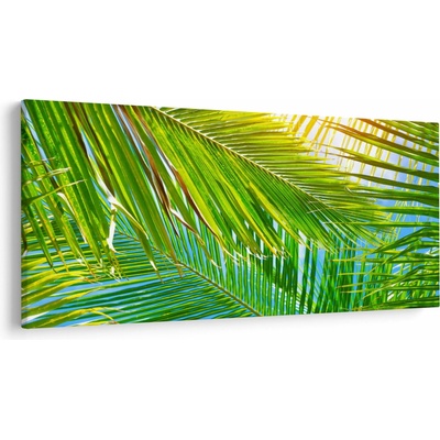 Obraz - Palmové listy, jednodielne 250x125 cm