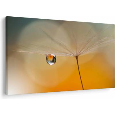 Obraz - Makro kvetu, jednodielne 150x100 cm