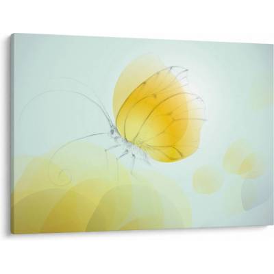 Obraz - Žltý motýľ, jednodielne 100x70 cm