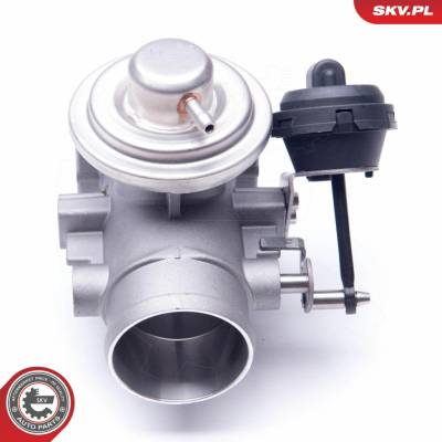 AGR-Ventil ESEN SKV 14SKV107