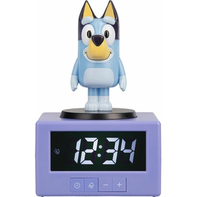 Bluey Icon PP14331BLU