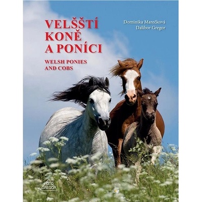 Velšští koně a poníci – Hledejceny.cz