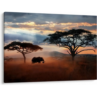 Obraz - Národný park Serengeti, Tanzánia, Afrika, jednodielne 100x70 cm