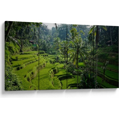 Obraz rýžových teras Tegalalang, Bali, Čtyřdílný 160x80 cm