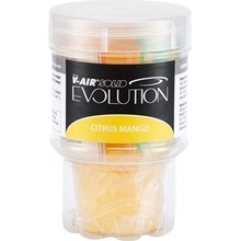 SOLID EVOLUTION Náplň do osviežovača vzduchu Citrus Mango 0,24 kg NOS033