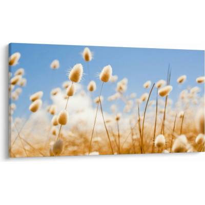 Obraz - Zlaté pole, jednodielne 120x70 cm