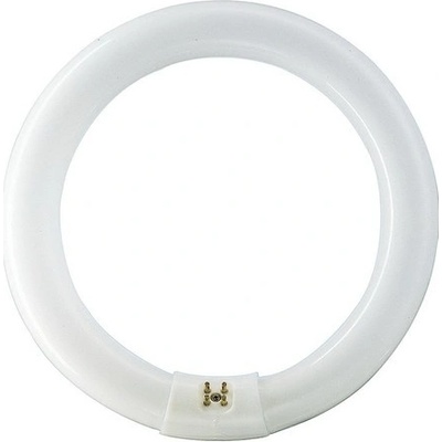 Philips Massive kruhová TL-E Circular Super 80 32W 840 G10q