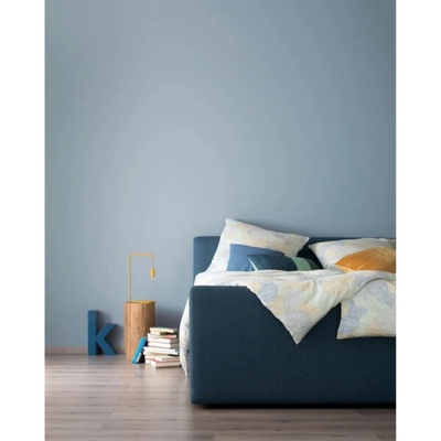 Schöner Wohnen Designer Paints Relaxed Nordic Blue Matt 2,5l