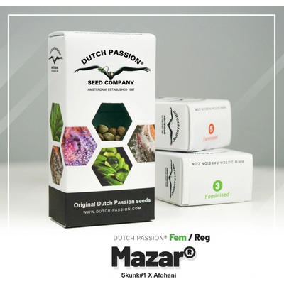 Dutch Passion Mazar semienka neobsahujú THC 5 ks