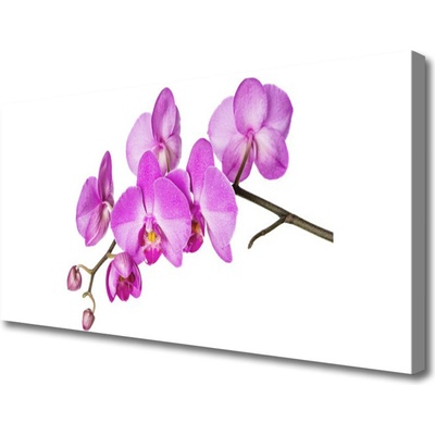 Obraz Canvas Vstavač orchidea kvety 100x50 cm