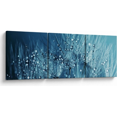 Obraz - Kapky rosy, třídílný 90x30 cm