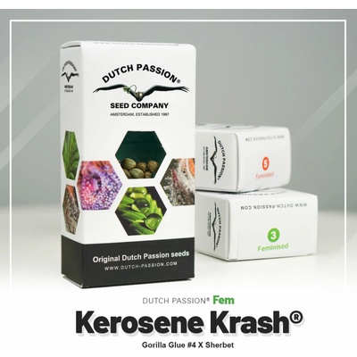Dutch Passion Kerosene Krash semienka neobsahujú THC 10 ks