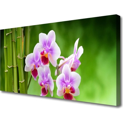 Obraz Canvas Bambus orchidea kvety zen 100x50 cm
