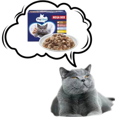 Prevital Cat Food s jehněčím, hovězím, králíkem a kuřetem v omáčce 24 x 100 g