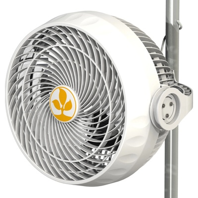 Secret Jardin Monkey Fan