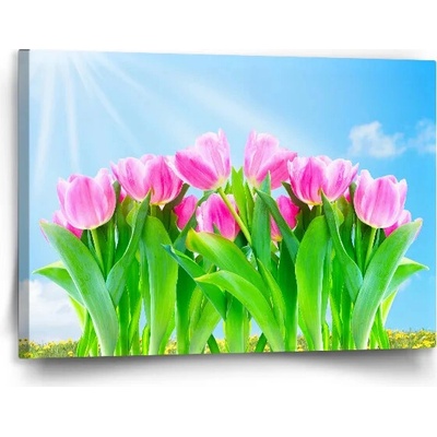 Sablio Obraz Růžové tulipány - 120x80 cm
