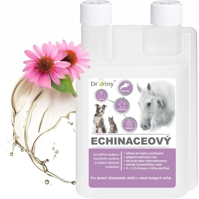 Dromy Echinaceový sirup 1 l
