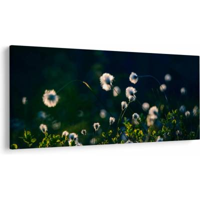 Obraz - Tráva, jednodielne 200x100 cm