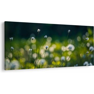 Obraz - Tráva, jednodielne 200x100 cm