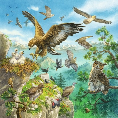 Ravensburger Zvířátka ve svých domovech 3 x 49 dílků