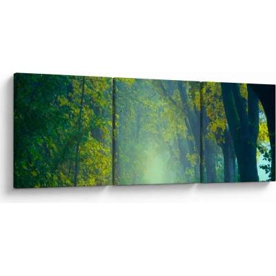 Obraz cesty lemované stromy, třídílný 90x30 cm