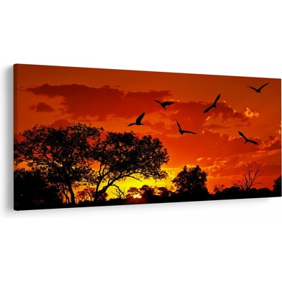 Obraz vtákov pri západe slnka, jednodielne 250x125 cm
