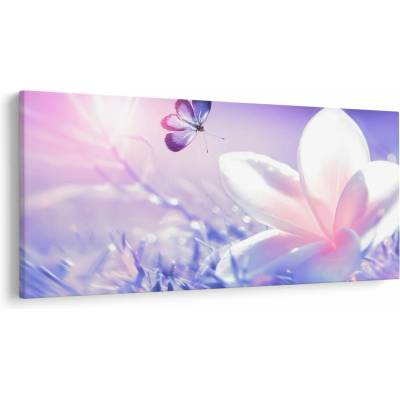 Obraz - Motýľ prilietajúci na kvet, jednodielne 250x125 cm