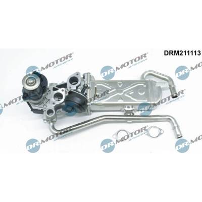 DR.MOTOR AUTOMOTIVE AGR - Ventil DRM211113