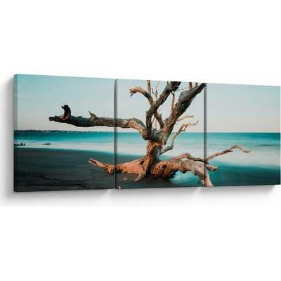 Obraz - Vyplavenie na pláži, trojdielne 150x50 cm