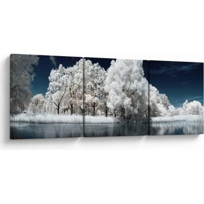 Obraz - Snehobiele stromy, trojdielne 150x50 cm