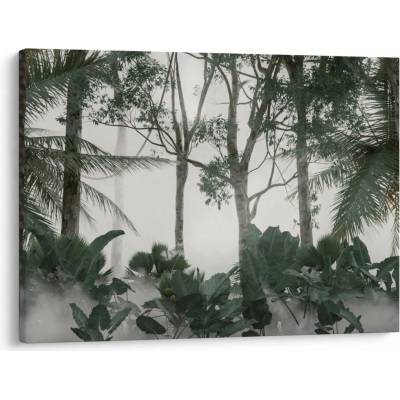 Obraz - Jungle v rannej hmle, jednodielne 70x50 cm