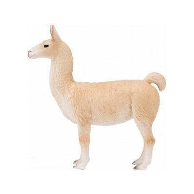 Lama – Hledejceny.cz
