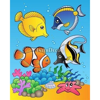 Nemo 1 deska 24x30