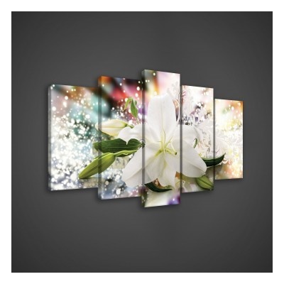 Obraz na plátne viacdielny - OB3600 - Biely kvet 100cm x 60cm - S17