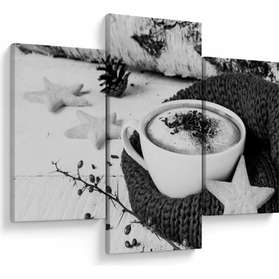Obraz - Zimní cappuccino, třídílný 90x60 cm