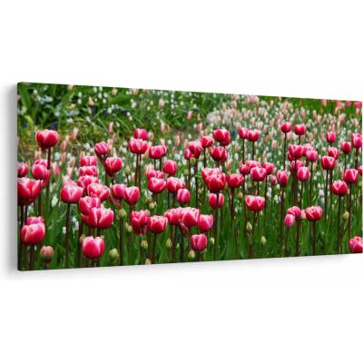 Obraz tulipánov, jednodielne 200x100 cm